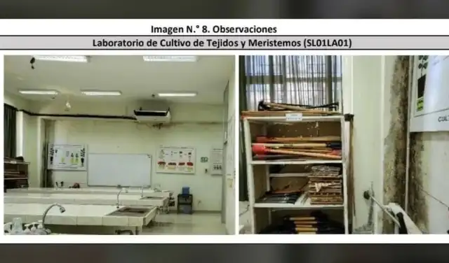 larepublica.pe