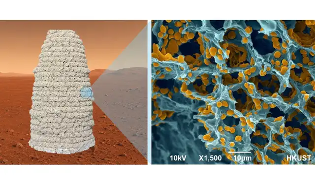 Material de construcción en condiciones marcianas simuladas (izquierda). Una vista microscópica revela la estructura porosa, con polímeros y levadura modificada genéticamente resaltados en amarillo (derecha). Foto: Ning Liu Material de construcción en condiciones marcianas simuladas (izquierda). Una vista microscópica revela la estructura porosa, con polímeros y levadura modificada genéticamente resaltados en amarillo (derecha). Foto: Ning Liu