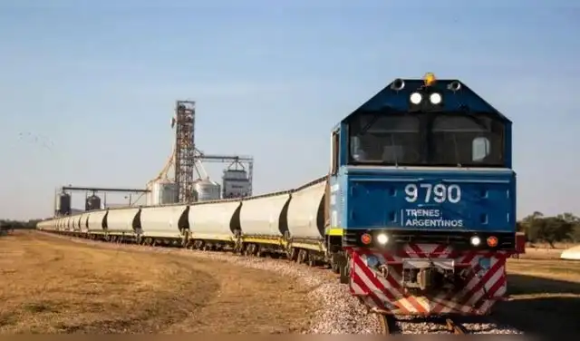 Financiados por la agroindustria con un adelanto de US$22 millones, estos vagones refuerzan el sistema ferroviario argentino. Foto: El Observador