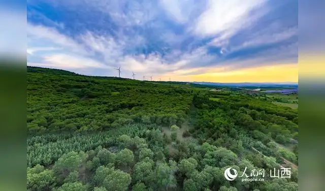 Con el tiempo, la masa forestal del condado creció del 0,3% a cerca del 57%, evidenciando un exitoso modelo sostenible de restauración ambiental en el norte de China documentado por la ONU. Foto: People's Daily