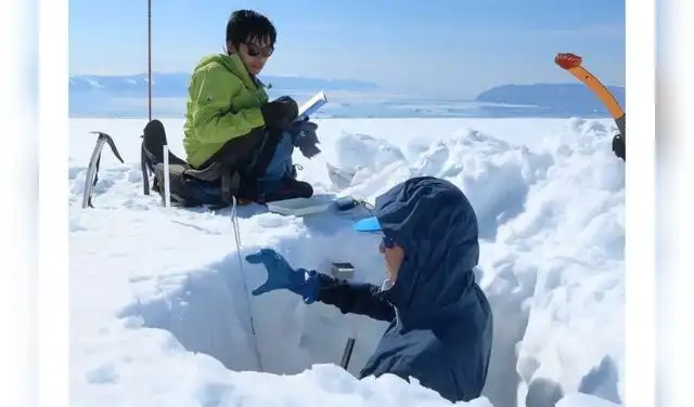 Investigadores miden la profundidad de la nieve en el casquete glaciar de Qaanaaq. Foto: Shin Sugiyama Investigadores miden la profundidad de la nieve en el casquete glaciar de Qaanaaq. Foto: Shin Sugiyama