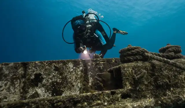 La misión fue establecer un ecosistema submarino vivo. Foto: Siyam World Maldives La misión fue establecer un ecosistema submarino vivo. Foto: Siyam World Maldives