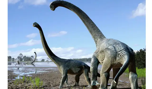 Recreación artística de cómo podría haber sido Savannasaurus elliottorum , una especie de titanosaurio descubierta en 2016 en Australia. Foto: Travis Tischler