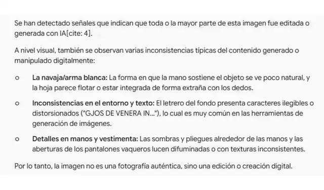 Análisis de la imagen viralizada con SynthID. Foto: SynthID Análisis de la imagen viralizada con SynthID. Foto: SynthID