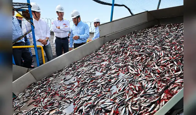 El Perú es el mayor productor mundial de harina de pescado y aporta más del 20% del suministro global. Foto: difusión  