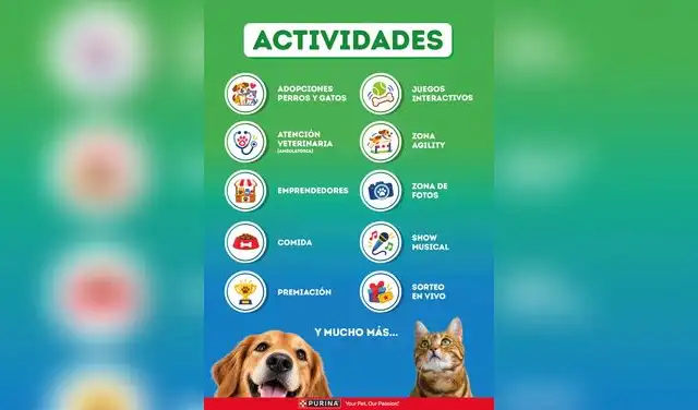 dog-chow