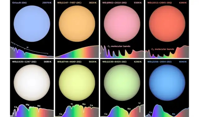 Simulación de enanas blancas en varios colores. Foto: Universidad de Warwick