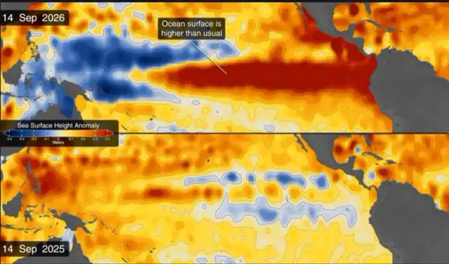 Las zonas con un nivel del mar inferior al normal aparecen en azul, mientras que las zonas con niveles más altos se muestran en naranja y rojo. El mapa compara el océano en 2025 y 2026. Foto: NASA Las zonas con un nivel del mar inferior al normal aparecen en azul, mientras que las zonas con niveles más altos se muestran en naranja y rojo. El mapa compara el océano en 2025 y 2026. Foto: NASA
