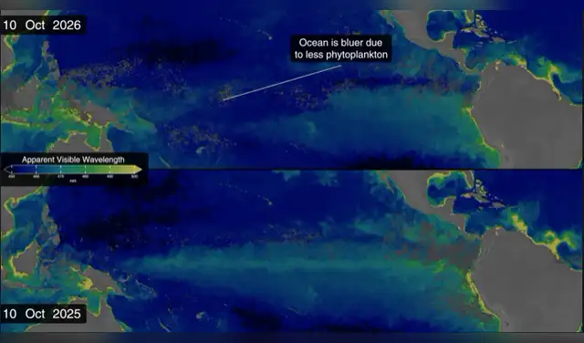 El mapa compara la longitud de onda visible aparente de 2025 y 2026. La longitud de onda visible aparente es un producto de datos del satélite PACE que utiliza datos de color del océano del instrumento de color del océano. Foto: NASA El mapa compara la longitud de onda visible aparente de 2025 y 2026. La longitud de onda visible aparente es un producto de datos del satélite PACE que utiliza datos de color del océano del instrumento de color del océano. Foto: NASA