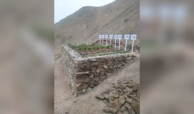 Proyecto de investigación de la PUCP busca estabilizar laderas con pircas reforzadas Proyecto de investigación de la PUCP busca estabilizar laderas con pircas reforzadas