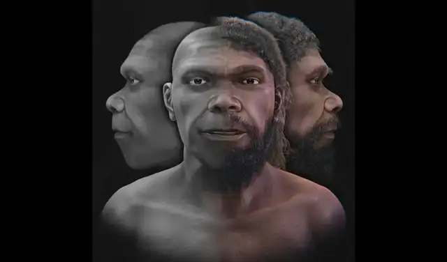 Diferentes representaciones de un rostro modelado a partir de fósiles de Jebel Irhoud. La pigmentación del cabello y la piel es fruto de la interpretación artística. Foto: Cícero Morae