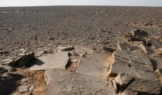 Losa grabada del complejo de arte rupestre de Sluguilla Lawash, cerca del monumento, que representa un bovino y un avestruz. Foto: African Archaeological Review Losa grabada del complejo de arte rupestre de Sluguilla Lawash, cerca del monumento, que representa un bovino y un avestruz. Foto: African Archaeological Review