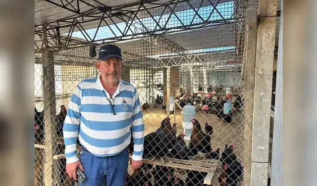 Nelson Ginter y sus gallinas Nelson Ginter y sus gallinas