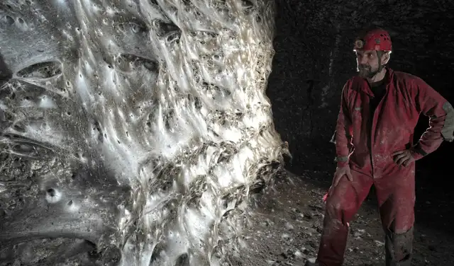 La colonia de arañas que habita en cuevas construyeron lo que parece ser la telaraña más grande jamás encontrada. Foto: Subterranean Biology La colonia de arañas que habita en cuevas construyeron lo que parece ser la telaraña más grande jamás encontrada. Foto: Subterranean Biology