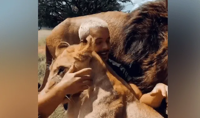 Facebook viral: Cuidador de felinos se reencuentra con leones que cuidó de  bebé y tierna escena causa furor | Face | Fb | Video viral | Redes Sociales  | Dean Schneider | Tendencias | La República