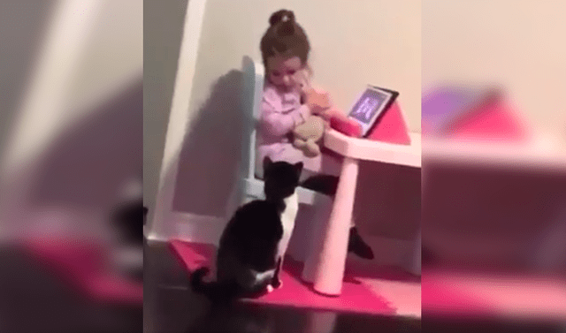 Youtube Viral Pone C Mara De Seguridad En Su Casa Y Descubre Emotiva Escena De Su Hija Con Gato