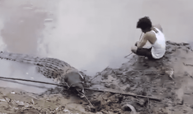 YouTube viral: Joven ingresa a peligroso río para bañarse y enorme cocodrilo  sale a la orilla para atacarlo | Viral | video | Yotube | Misteriosa  criatura | Tailandia | Redes Sociales | Tendencias | La República