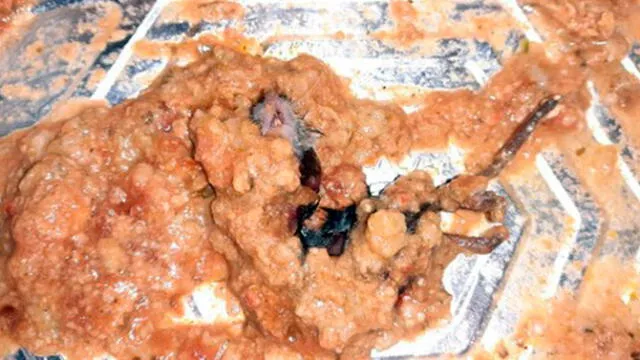 Estados unidos | ratas: mujer se horroriza al ver un ratón muerto dentro de  una comida preparada que compró | rddr | Mundo | La República