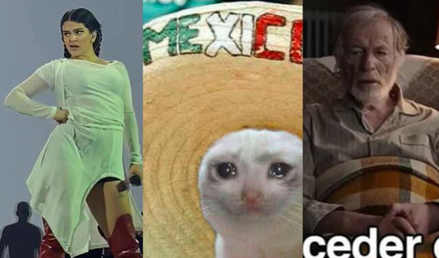 ¿cuáles Fueron Los Memes Más Virales Que Se Hicieron Famosos En El 2022 Video Viral Laemk 7405