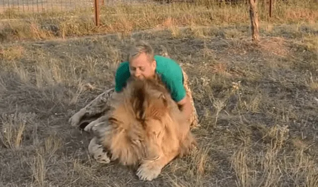 YouTube viral: Domador de leones reta a feroz felino a morder su brazo, sin  imaginar lo que le pasaría | Viral | Video | Yotube | Rusia | Depredador |  México | Oleg Zubkov | Tendencias | La República