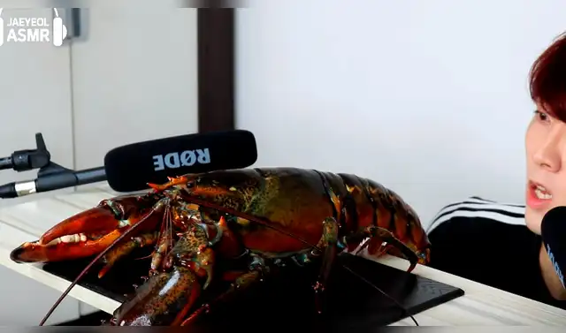 Bogavante en coreano