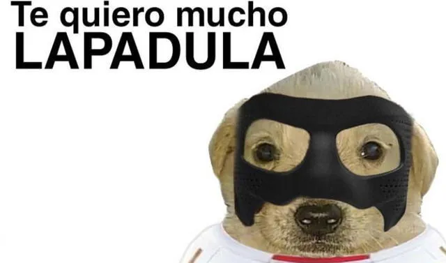 Perú vs. Paraguay: los mejores memes del último partido de las Eliminatorias Qatar 2022. Foto: captura.