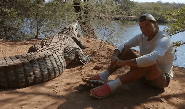 YouTube viral: Osado aventurero se acerca a feroz cocodrilo y reptil lo  sorprende con brutal ataque | Video | YT | Wild Frank | Animal Planet |  Africa | Tendencias | La República