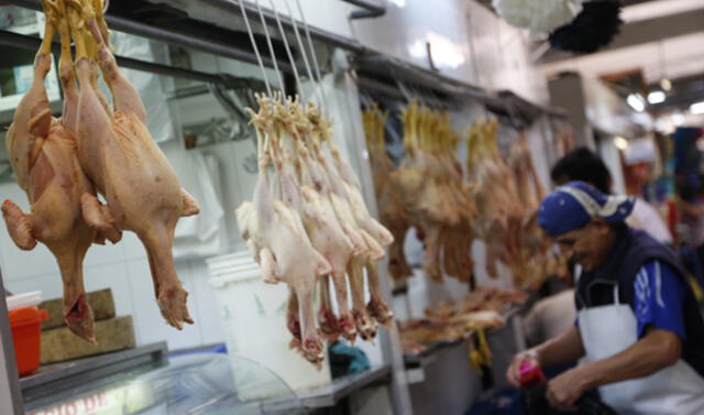 Precio del pollo hoy en Lima 2020: cuánto ha subido, cuánto está el kilo y  por qué sigue subiendo de precio | Minagri | Economía | La República