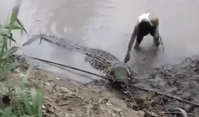 YouTube viral: Joven ingresa a peligroso río para bañarse y enorme cocodrilo  sale a la orilla para atacarlo | Viral | video | Yotube | Misteriosa  criatura | Tailandia | Redes Sociales | Tendencias | La República