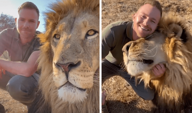 TikTok viral: hombre entra a recinto de leones para reencontrarse con  felino que cuidó de bebé | Tendencias | La República