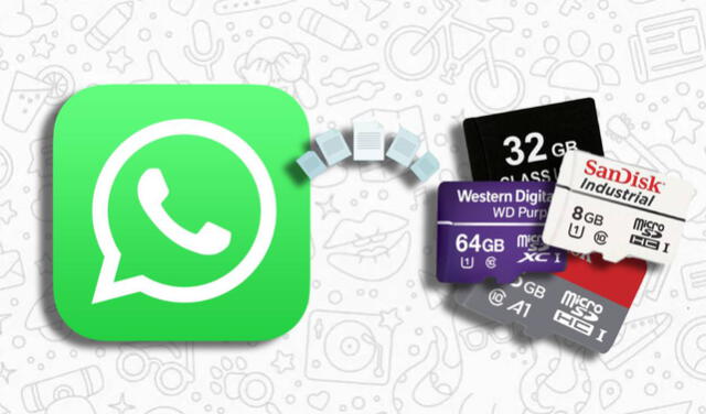 libertad calina Seguir WhatsApp: ¿cómo hacer que las fotos se guarden en la memoria SD? | WPP |  Android | iPhone | Tecnología | La República