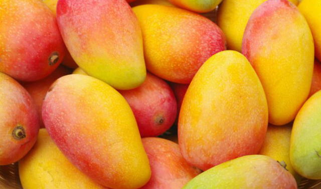 Países Bajos se convirtió en el primer importador de mango peruano en el  mundo | Economía | La República