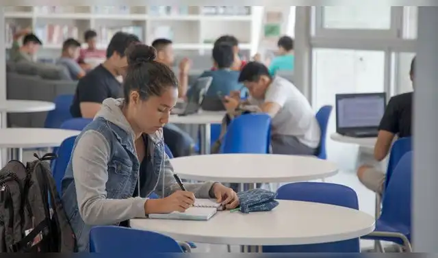 Las 10 carreras con más demanda laboral en Perú, según el Ministerio de ...