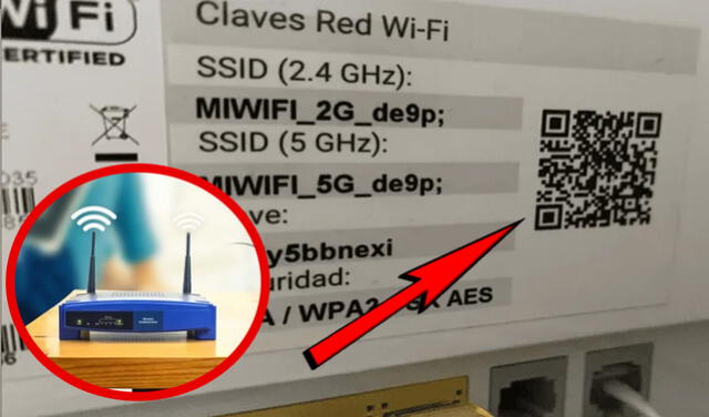 ¿Para qué sirve el código QR que se encuentra en la parte trasera del ...