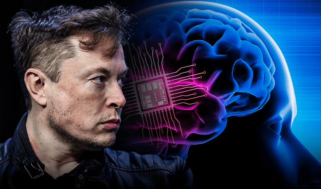 EE. UU. niega permiso a Elon Musk para probar chips cerebrales de Neuralink en humanos 6407b9e368a653168a12dea1