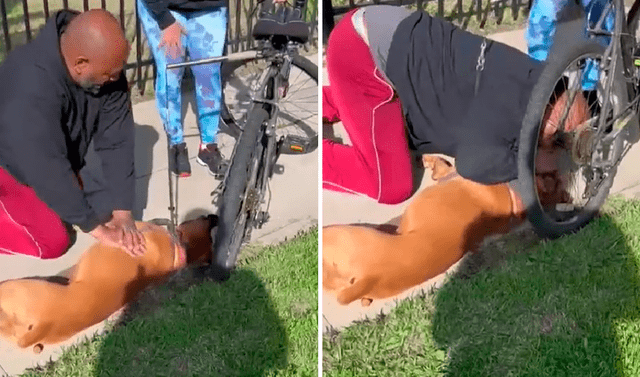 Viral | Estados Unidos | Hombre le salva la vida a un perro haciéndole una  maniobra de resucitación cardiopulmonar | nvb | Mundo | La República