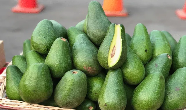 Según FreshFruit, se prevé la exportación de 700.000 toneladas de palta al cierre del 2023. Foto: Andina   