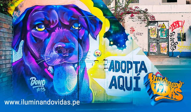  Diez inspiradores murales adornarán las calles de Surco promoviendo esta causa. Foto: Iluminando vidas   