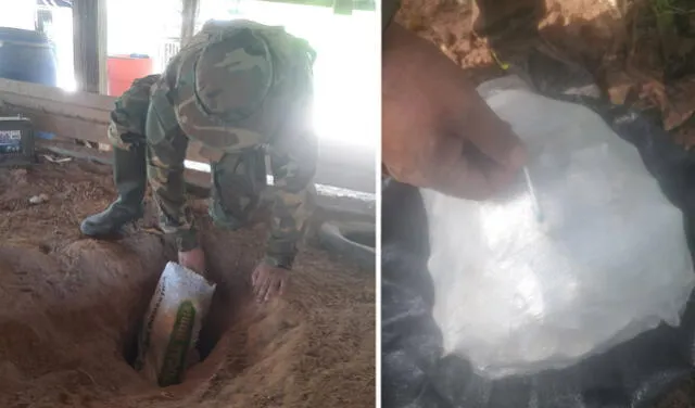 Narcotraficantes usan sembríos legales para camuflar droga. Foto: composición La República/PNP   