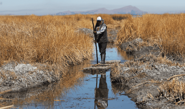  La sequía que se vive en el hemisferio sur está afectando ecosistemas como el lago Titicaca en Puno. Foto: EFE   