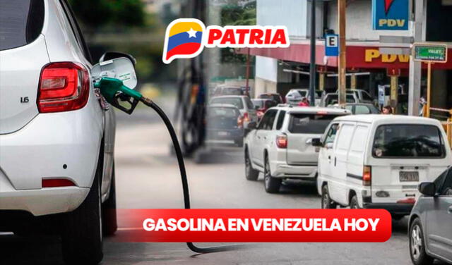 gasolina subsidiada noviembre patria 