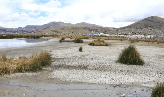 El lago Tititca se ha visto afectado por la crisis climática. Foto: La República/Juan Pablo Castillo   