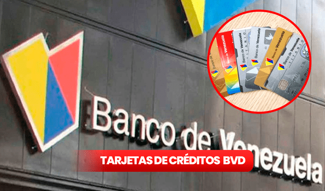 Banco de Venezuela en línea: ¿cuáles son los beneficios y cómo obtener crédito de 100 dólares?