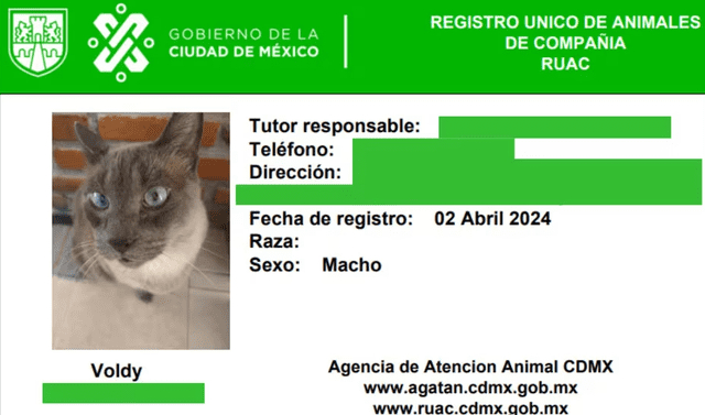 Este sería el RUAC que tendrán los animales en CDMX. Foto: Gobierno de la Ciudad de México   