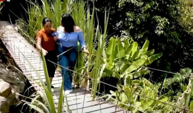 El plátano ha sido la fruta que mejor se ha adecuado al terreno de San Juan de Lurigancho. Foto: Panamericana   