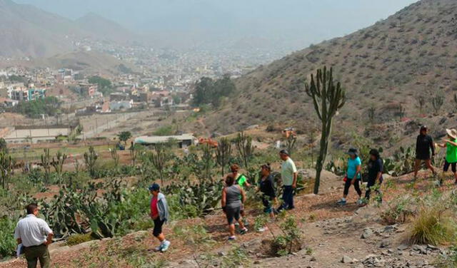 El nuevo parque ecológico de La Molina ofrece diferentes actividades familiares. Foto: Municipalidad de La Molina   