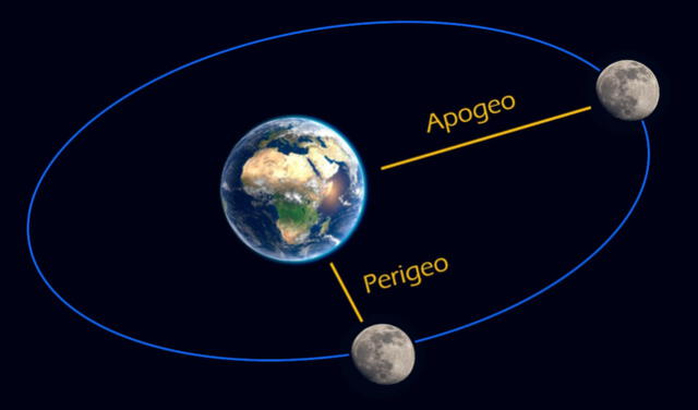 Cuando la luna se ubica más cerca de la Tierra se denomina perigeo y cuando está más lejos es un apogeo. Foto: fororuanopro   