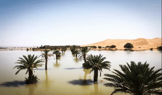 Ciudades como Merzouga y Tagounite fueron duramente afectadas, con precipitaciones cuatro veces superiores al promedio anual en solo dos días, un fenómeno inédito en la región. Foto: @AfricaFactsZo/Twitter   