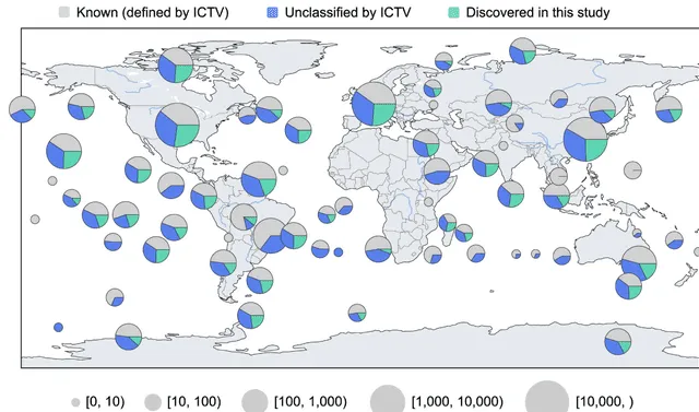 Muchos de los virus identificados estaban en bases de datos públicas, pero eran desconocidos. Foto: Holmes et al.   