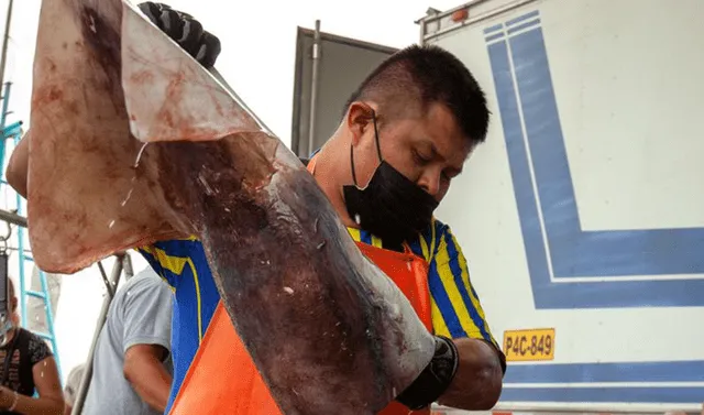 En aguas contiguas peruanas, los chinos pescaron más de 500 mil toneladas de pota, y los peruanos 450 mil toneladas. Foto: Sustainable Fisheries Partnership (SFP)   